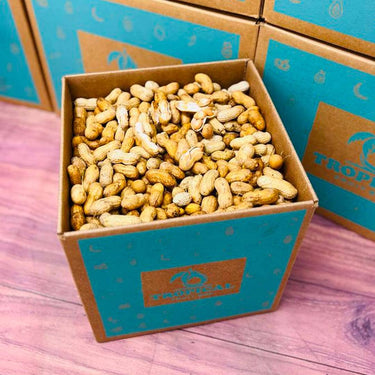 Raw Georgia Peanuts Box Peanuts Tropical Fruit Box Small (3 Pounds)